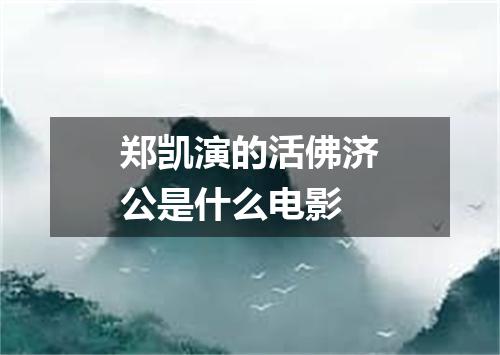 郑凯演的活佛济公是什么电影