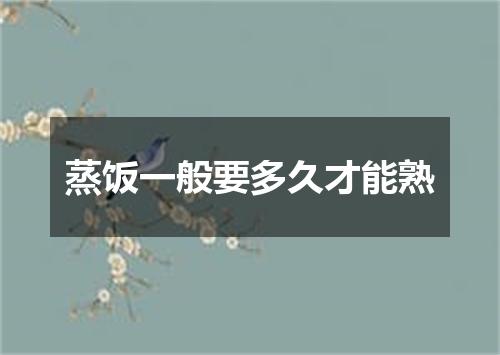 蒸饭一般要多久才能熟