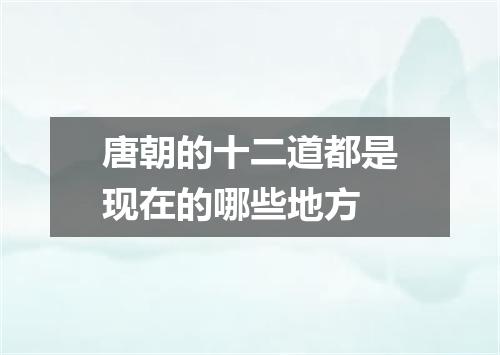 唐朝的十二道都是现在的哪些地方