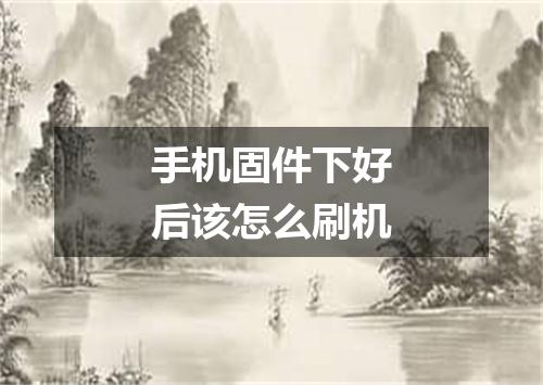 手机固件下好后该怎么刷机