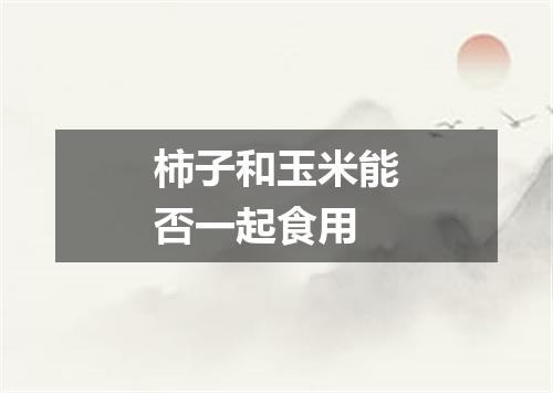 柿子和玉米能否一起食用
