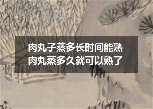 肉丸子蒸多长时间能熟 肉丸蒸多久就可以熟了