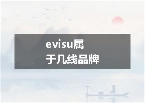 evisu属于几线品牌