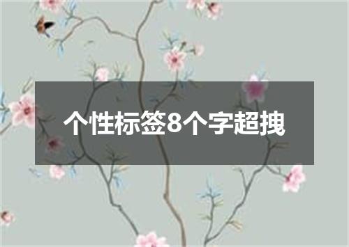 个性标签8个字超拽