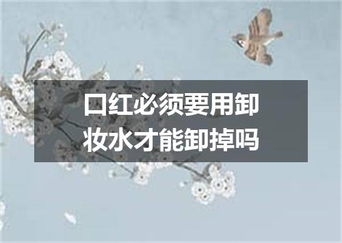 口红必须要用卸妆水才能卸掉吗