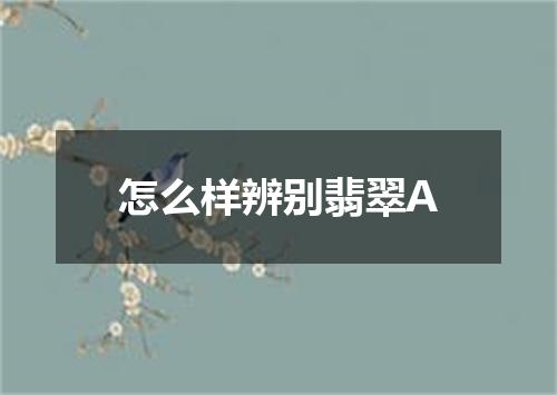 怎么样辨别翡翠A