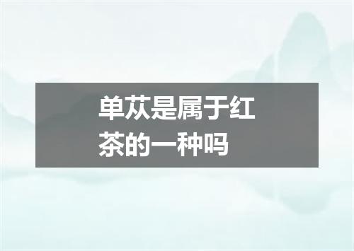 单苁是属于红茶的一种吗