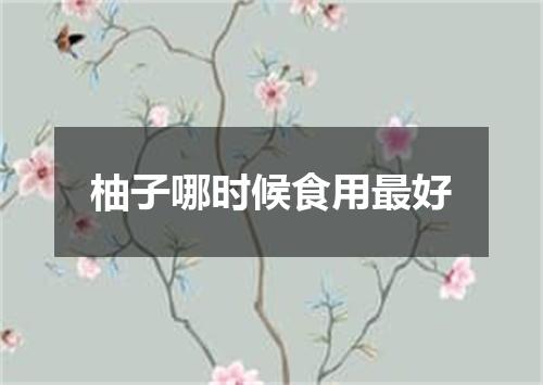 柚子哪时候食用最好