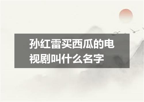 孙红雷买西瓜的电视剧叫什么名字