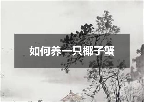 如何养一只椰子蟹