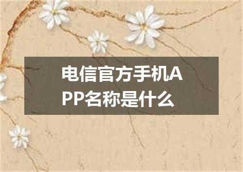 电信官方手机APP名称是什么