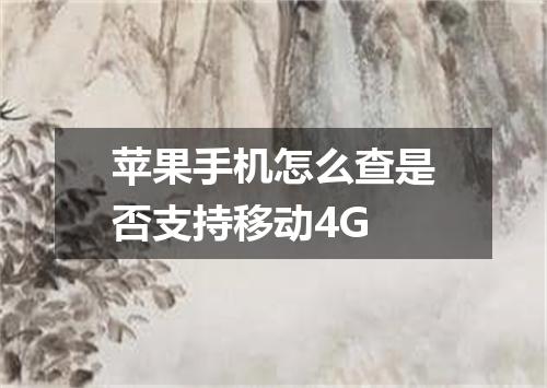 苹果手机怎么查是否支持移动4G