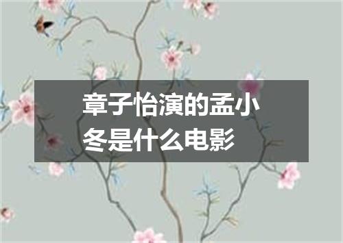 章子怡演的孟小冬是什么电影
