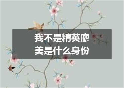 我不是精英廖美是什么身份