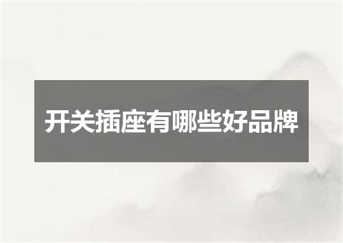 开关插座有哪些好品牌