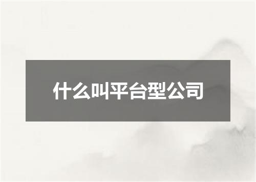 什么叫平台型公司