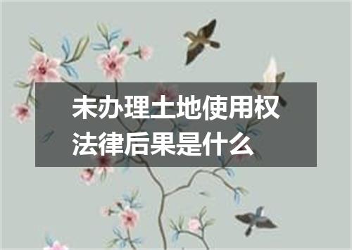 未办理土地使用权法律后果是什么