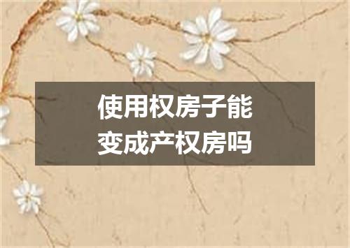 使用权房子能变成产权房吗