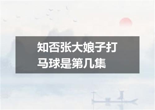 知否张大娘子打马球是第几集