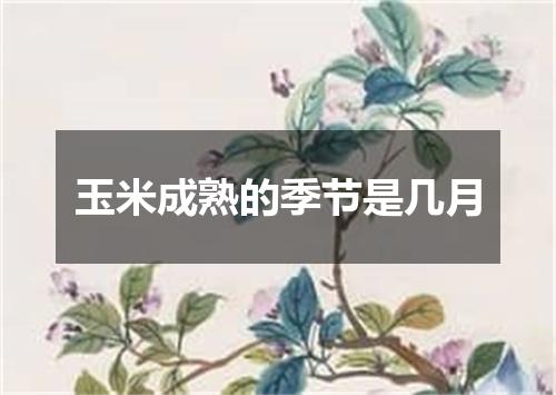玉米成熟的季节是几月