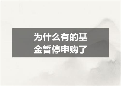 为什么有的基金暂停申购了