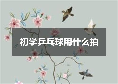 初学乒乓球用什么拍