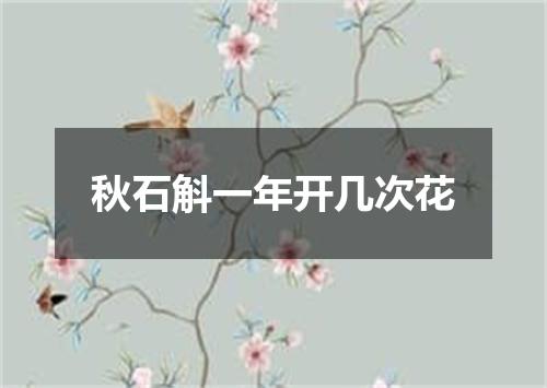秋石斛一年开几次花