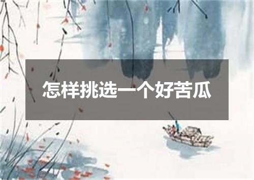 怎样挑选一个好苦瓜