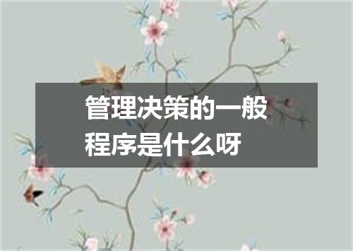 管理决策的一般程序是什么呀