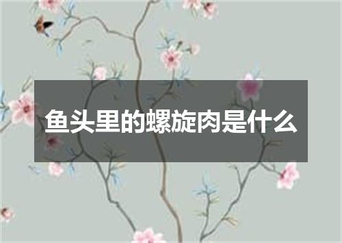 鱼头里的螺旋肉是什么