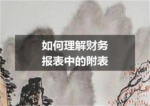 如何理解财务报表中的附表