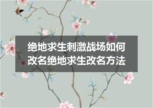绝地求生刺激战场如何改名绝地求生改名方法