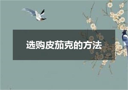 选购皮茄克的方法