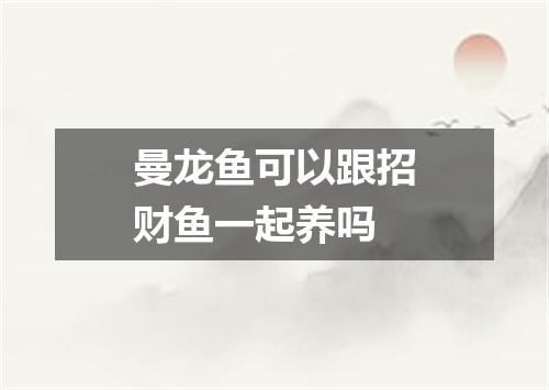 曼龙鱼可以跟招财鱼一起养吗