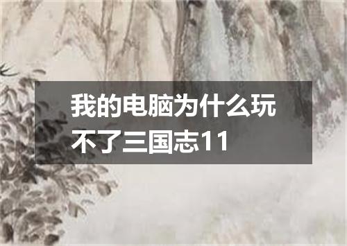 我的电脑为什么玩不了三国志11