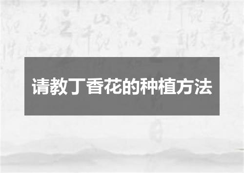 请教丁香花的种植方法
