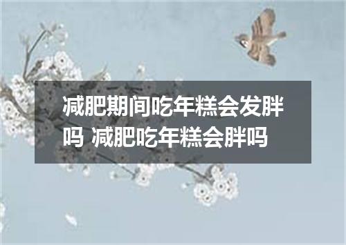 减肥期间吃年糕会发胖吗 减肥吃年糕会胖吗