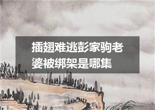 插翅难逃彭家驹老婆被绑架是哪集