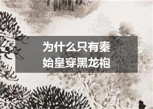 为什么只有秦始皇穿黑龙袍