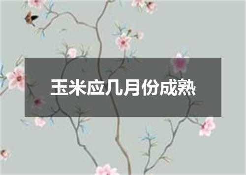 玉米应几月份成熟