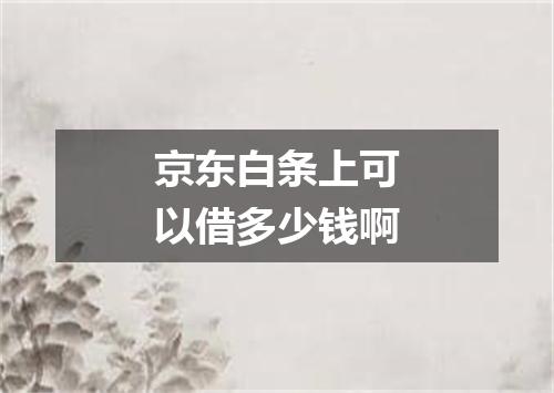 京东白条上可以借多少钱啊