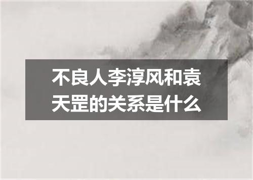 不良人李淳风和袁天罡的关系是什么