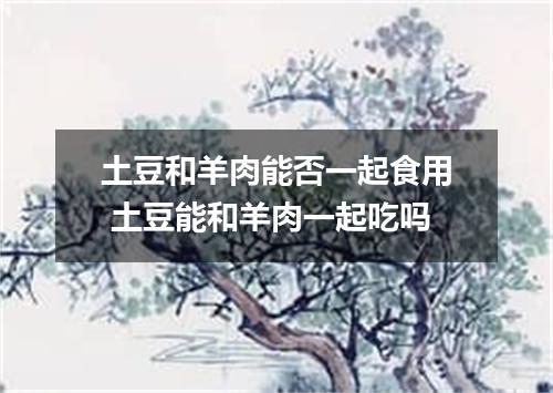 土豆和羊肉能否一起食用 土豆能和羊肉一起吃吗