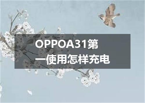 OPPOA31第一使用怎样充电