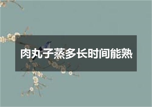 肉丸子蒸多长时间能熟