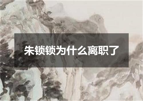 朱锁锁为什么离职了