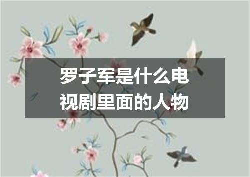 罗子军是什么电视剧里面的人物