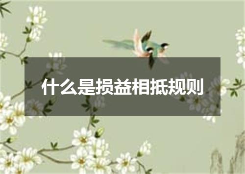 什么是损益相抵规则