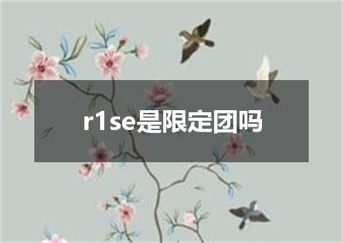 r1se是限定团吗