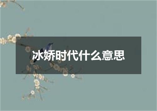 冰娇时代什么意思